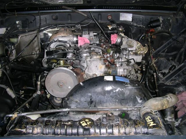 IMGP7669.webp