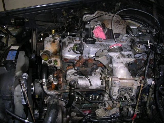 IMGP7670.webp