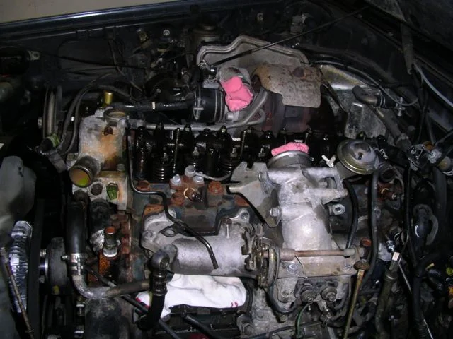 IMGP7671.webp