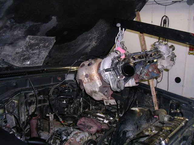 IMGP7681.webp