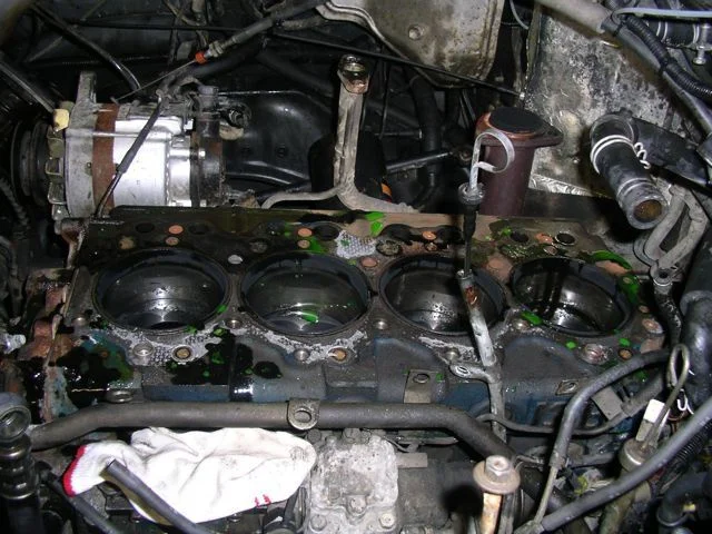 IMGP7685.webp