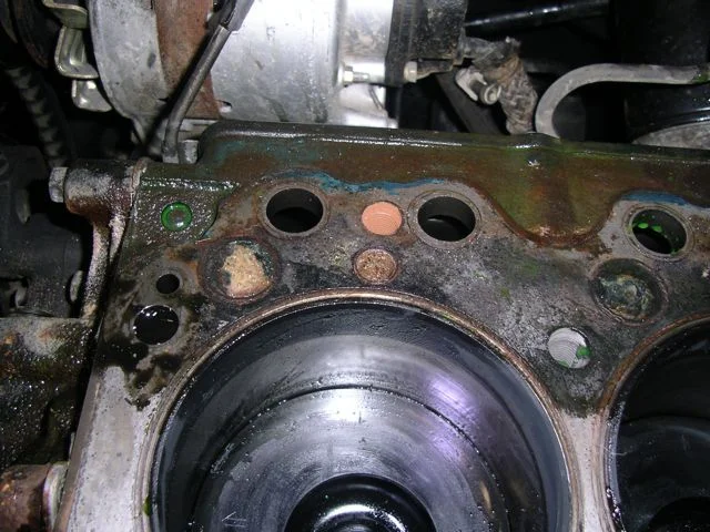 IMGP7692.webp