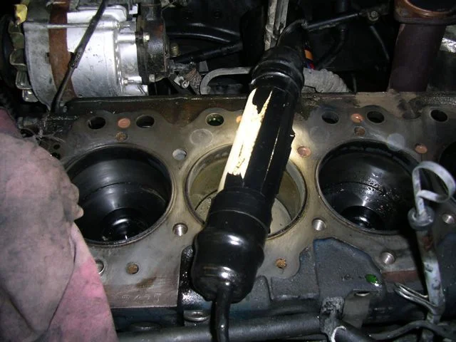 IMGP7694.webp