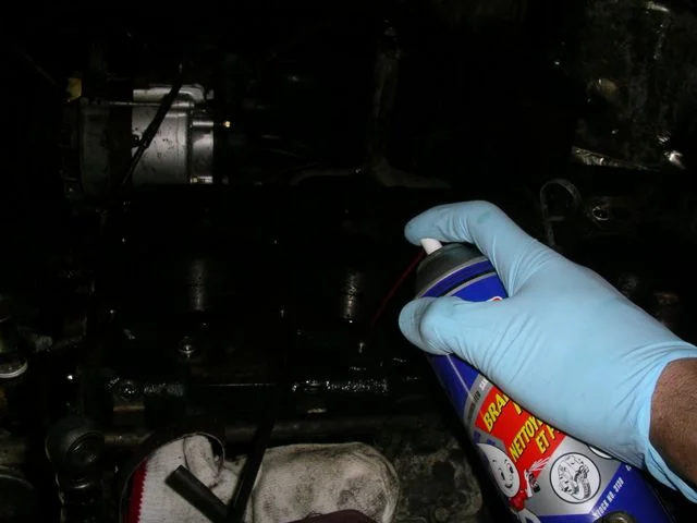 IMGP7700.webp