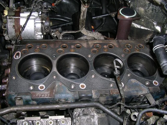 IMGP7702.webp