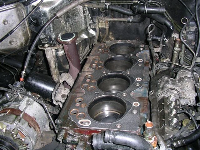 IMGP7704.webp
