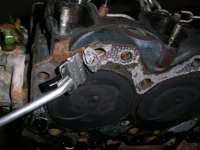 IMGP7705.webp