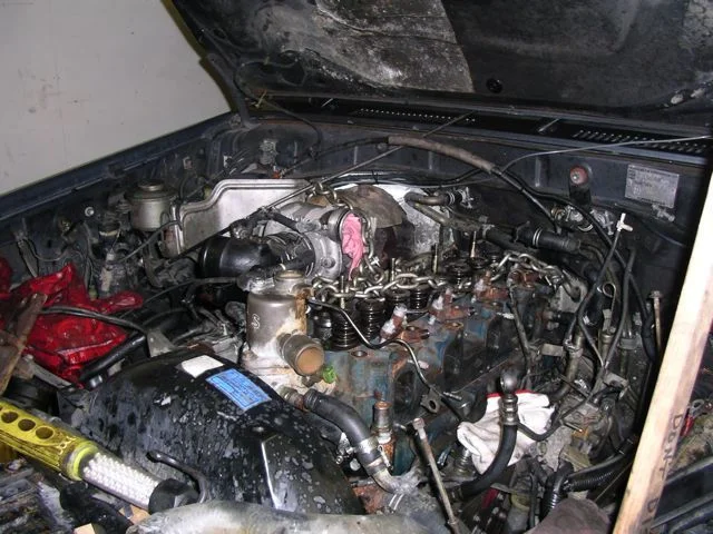 IMGP7708.webp