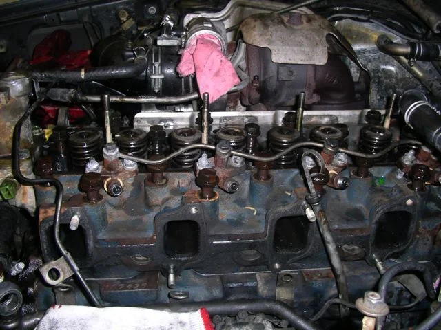 IMGP7715.webp