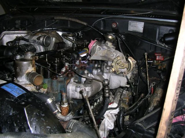 IMGP7726.webp