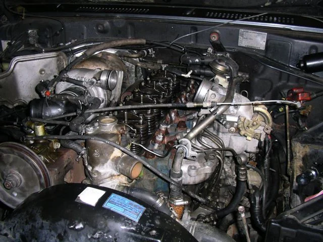 IMGP7727.webp