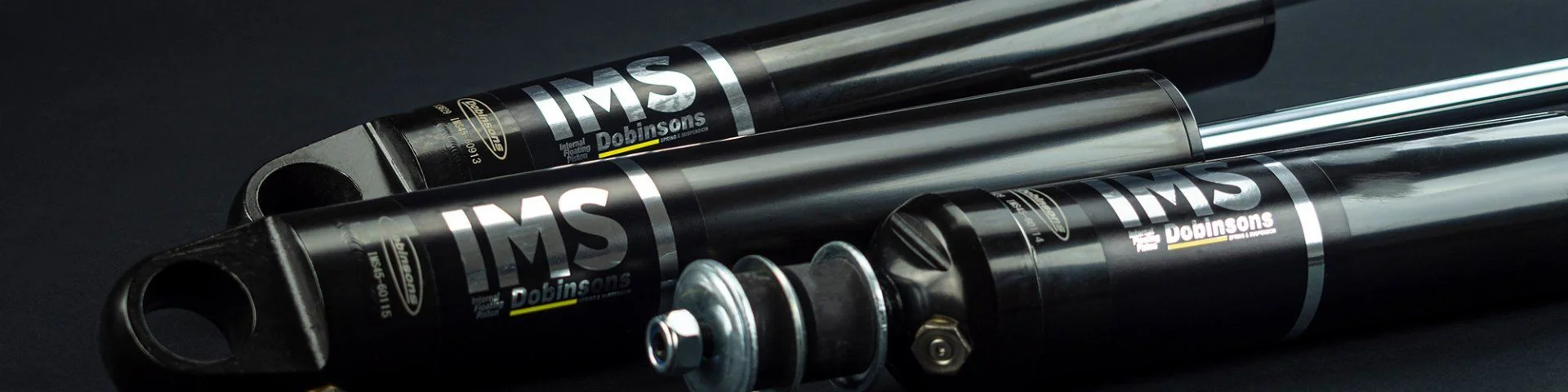 IMS BANNER.jpg