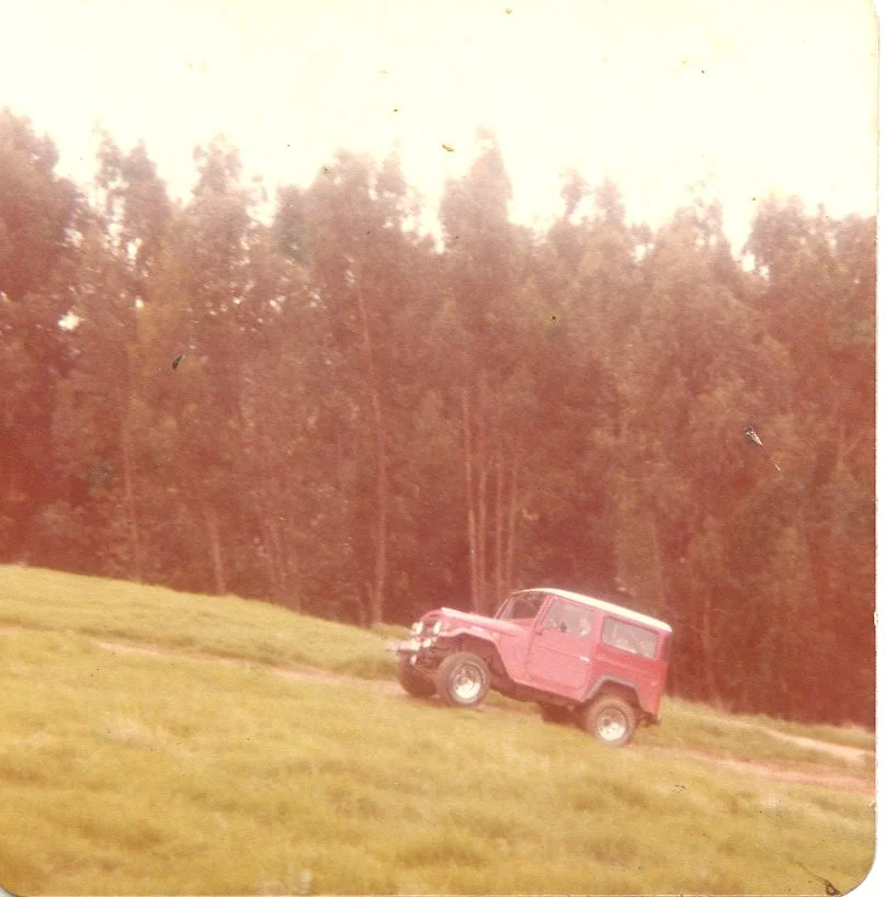 imw115.webp