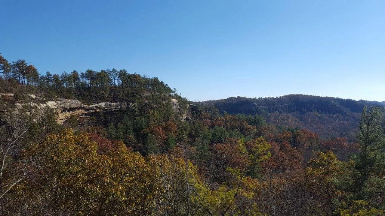 Indian Staircase View.webp
