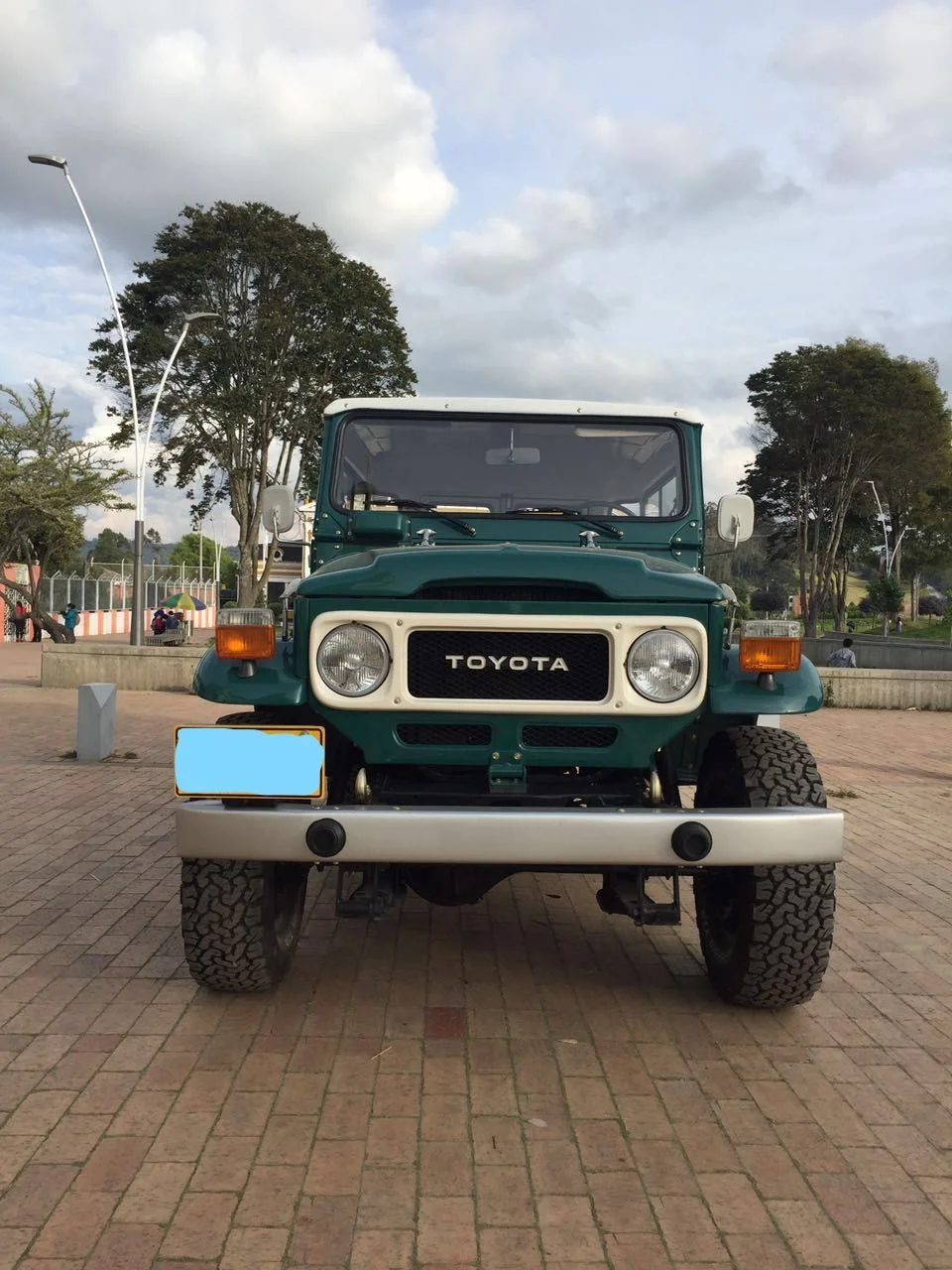 1980 rustic green FJ43