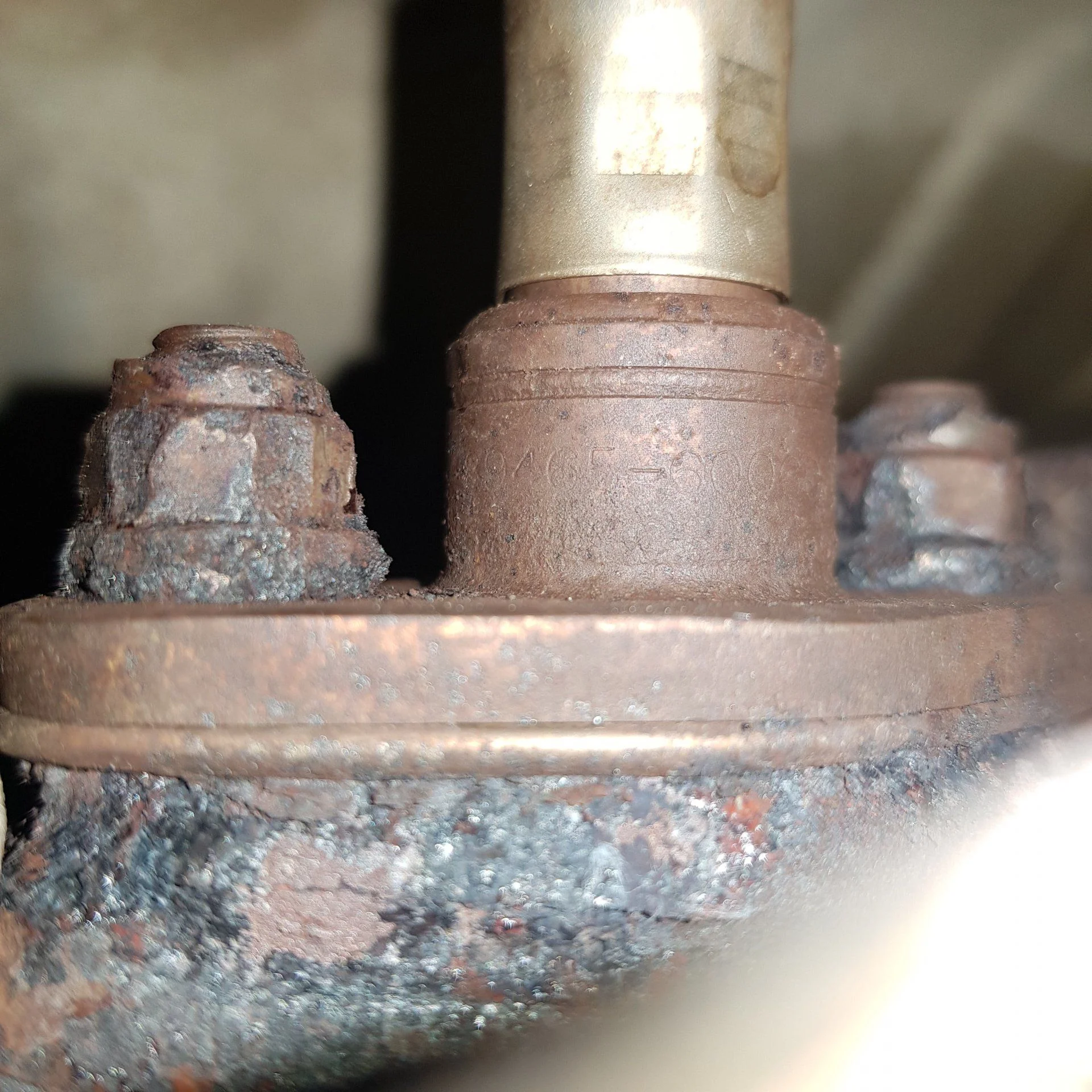 inner2.webp