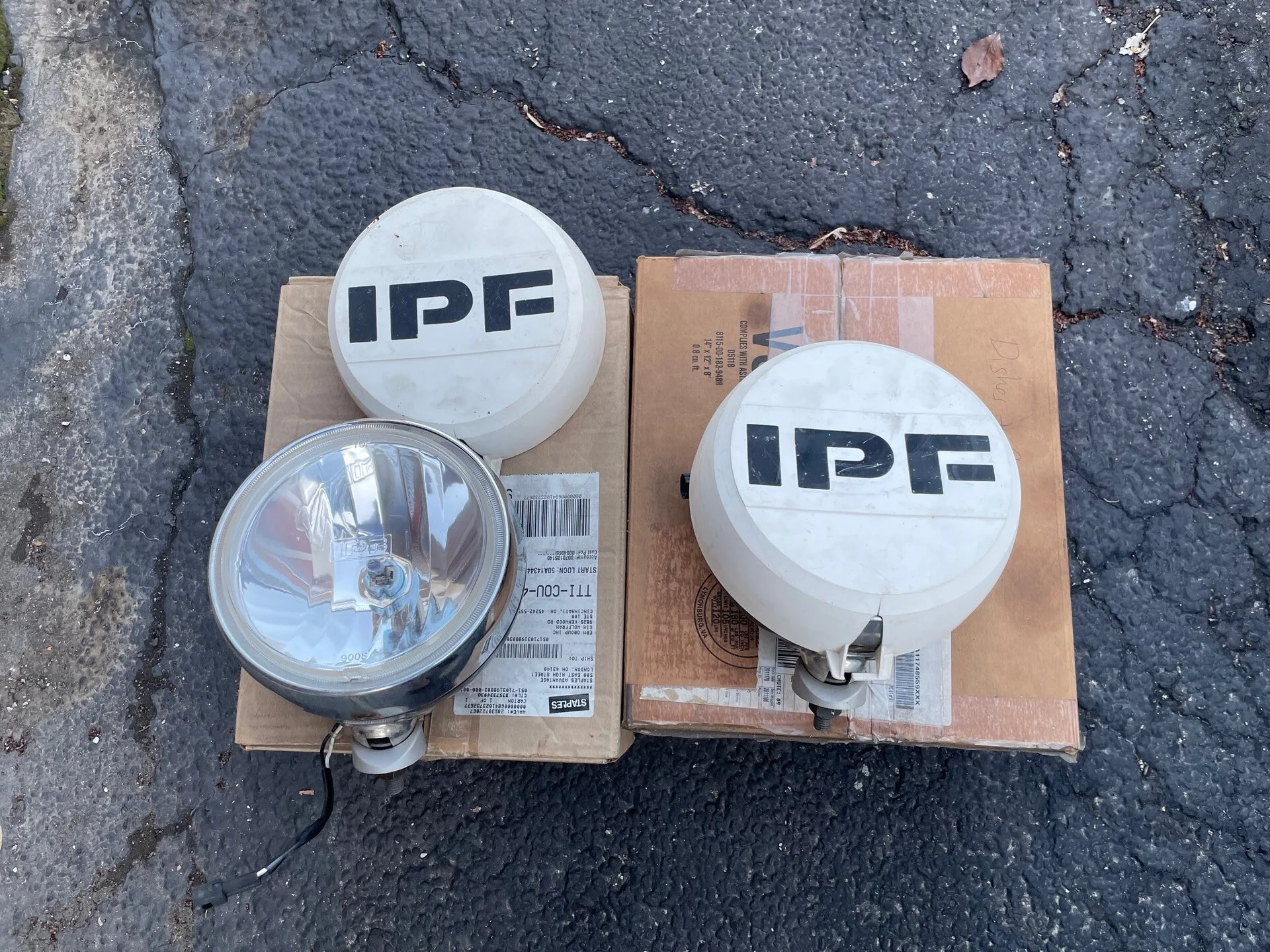 IPF1.webp