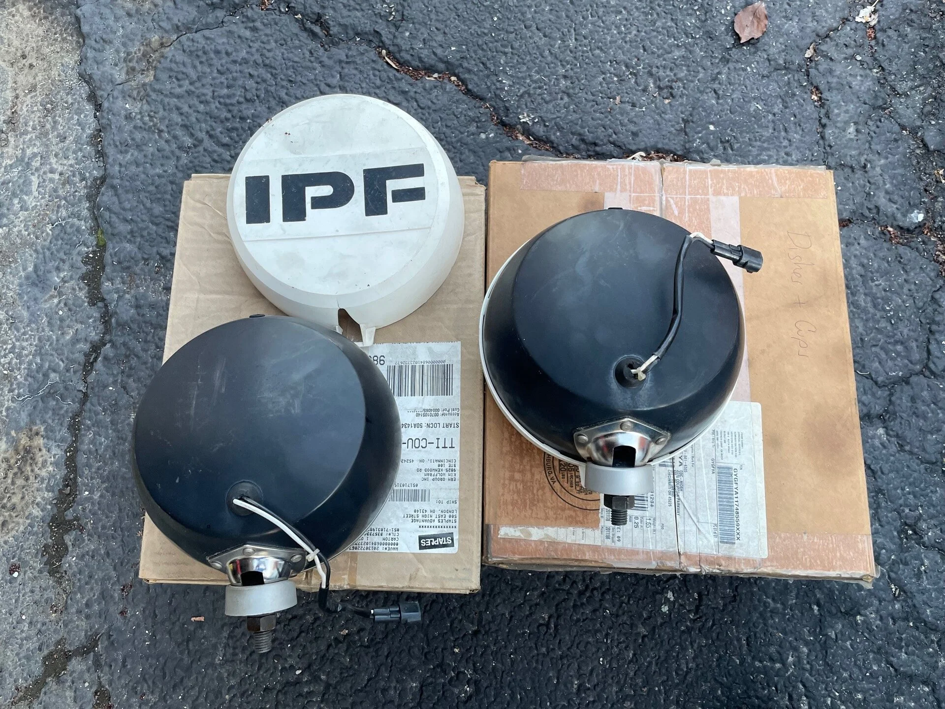 IPF2.webp