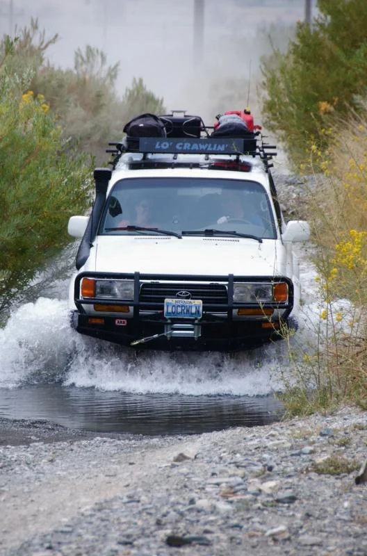 J&D in water.webp