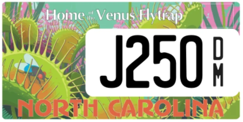 J250.webp
