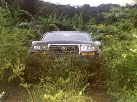 Jakarta_LC04.webp