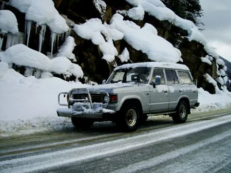 jdm2.webp