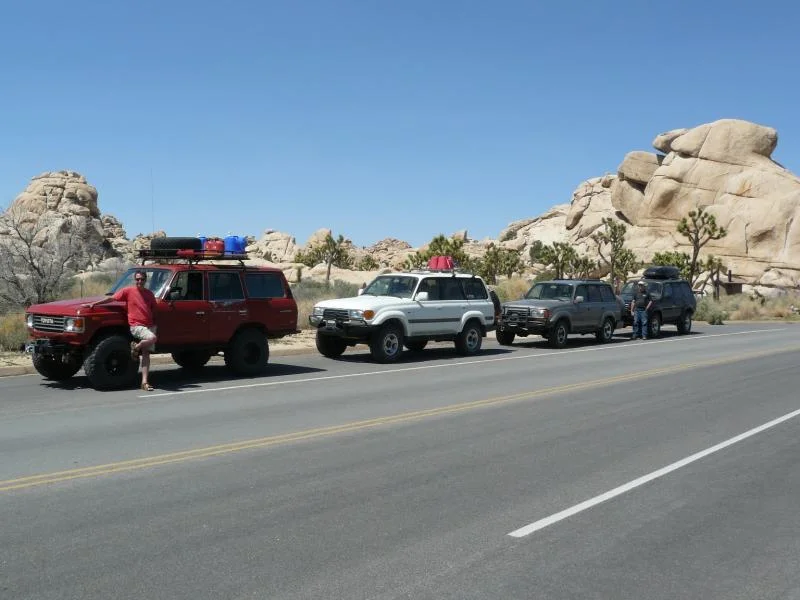Joshua Tree.webp