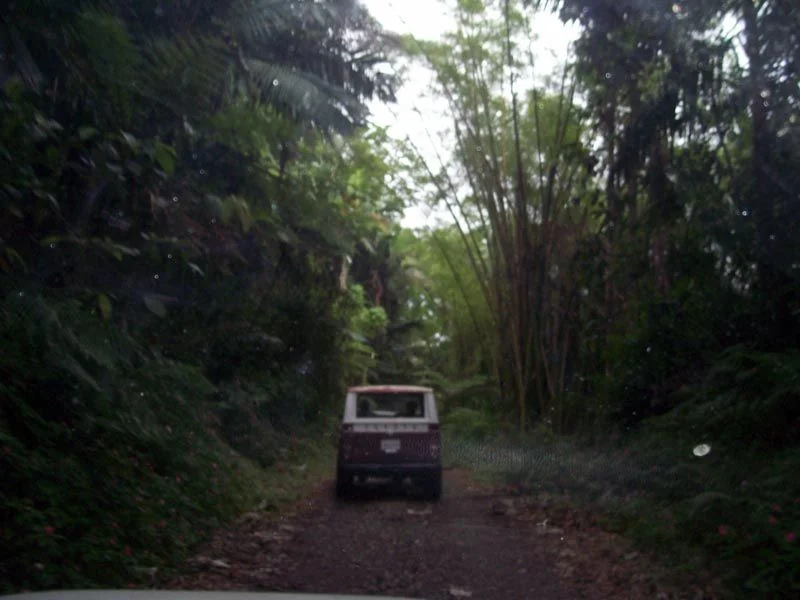 juana diaz 7.webp