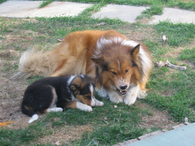 june 01 07 006.jpg