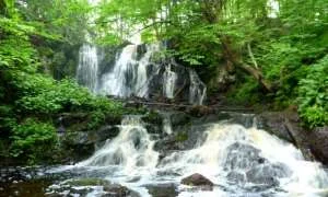 kew.18.ss_.Falls__1.webp
