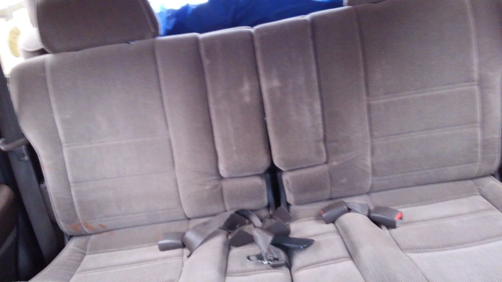 KIMG0455.webp