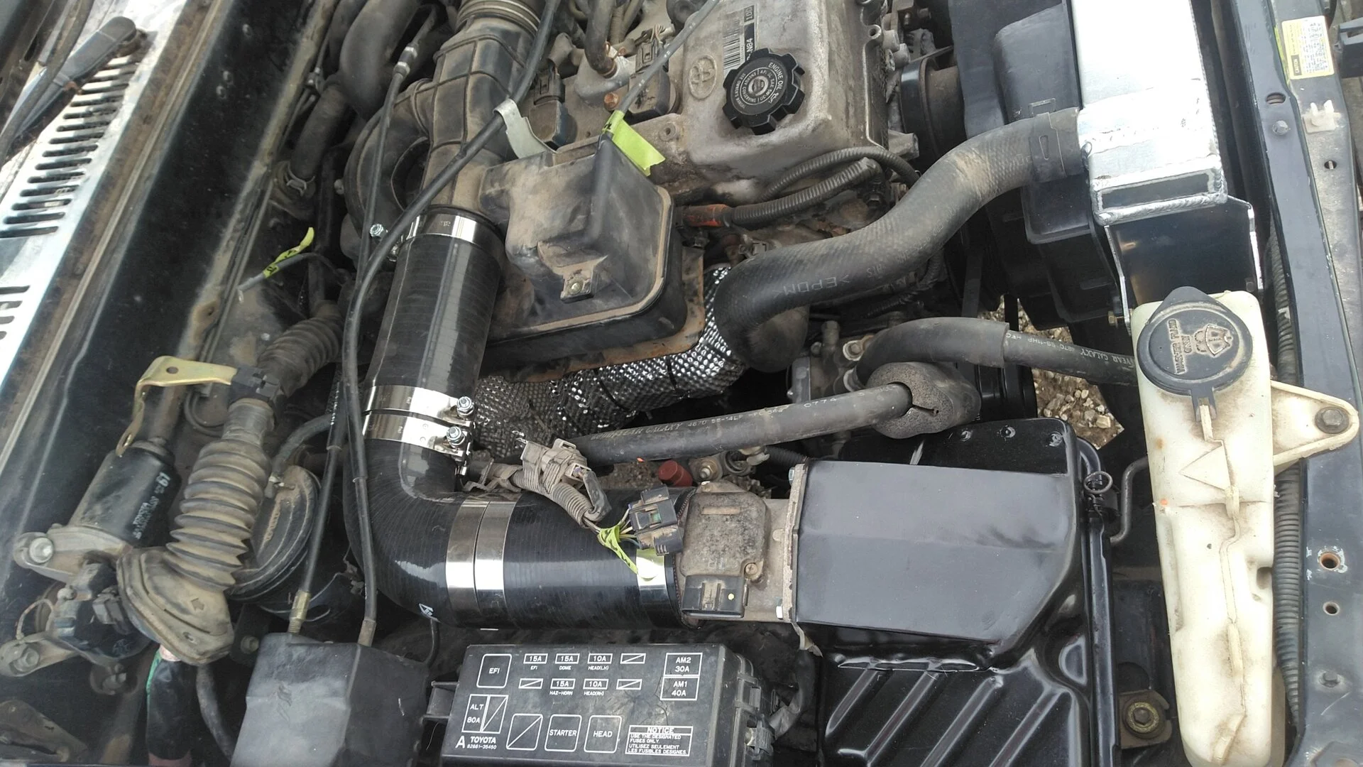 KIMG2540.webp