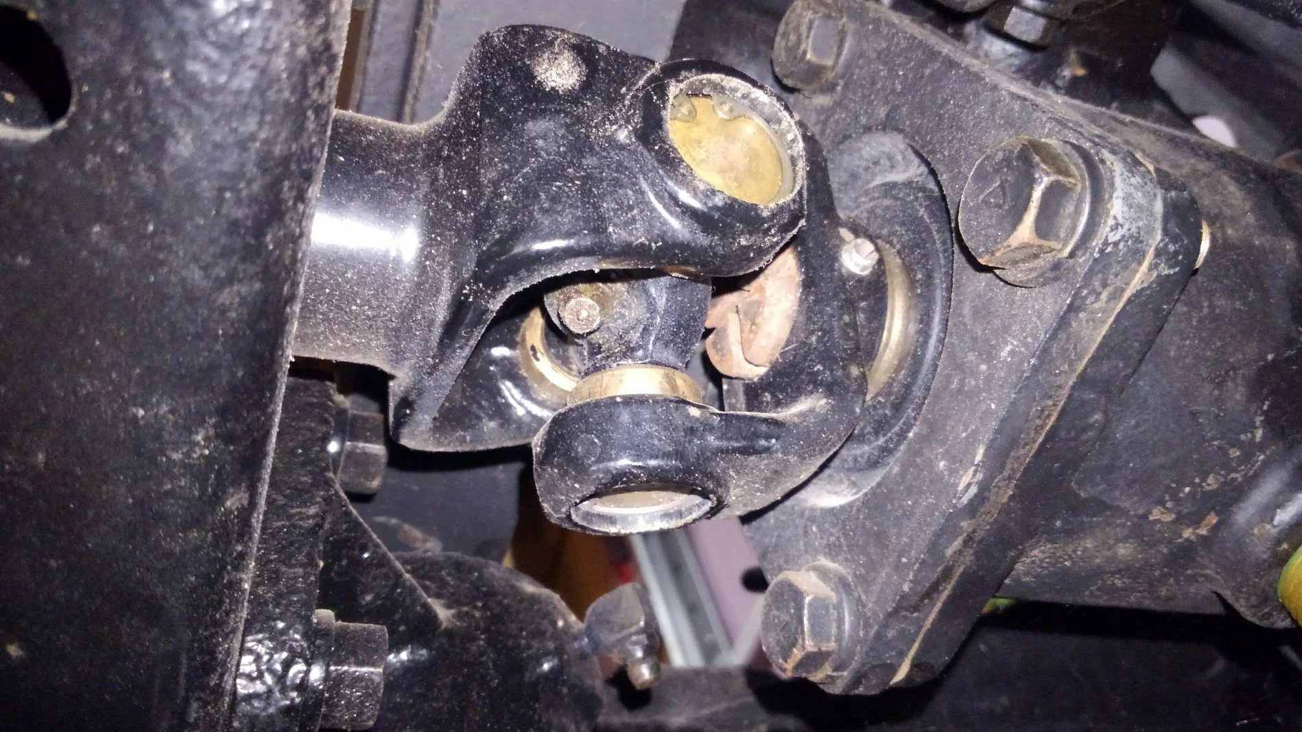 KIMG2825.webp