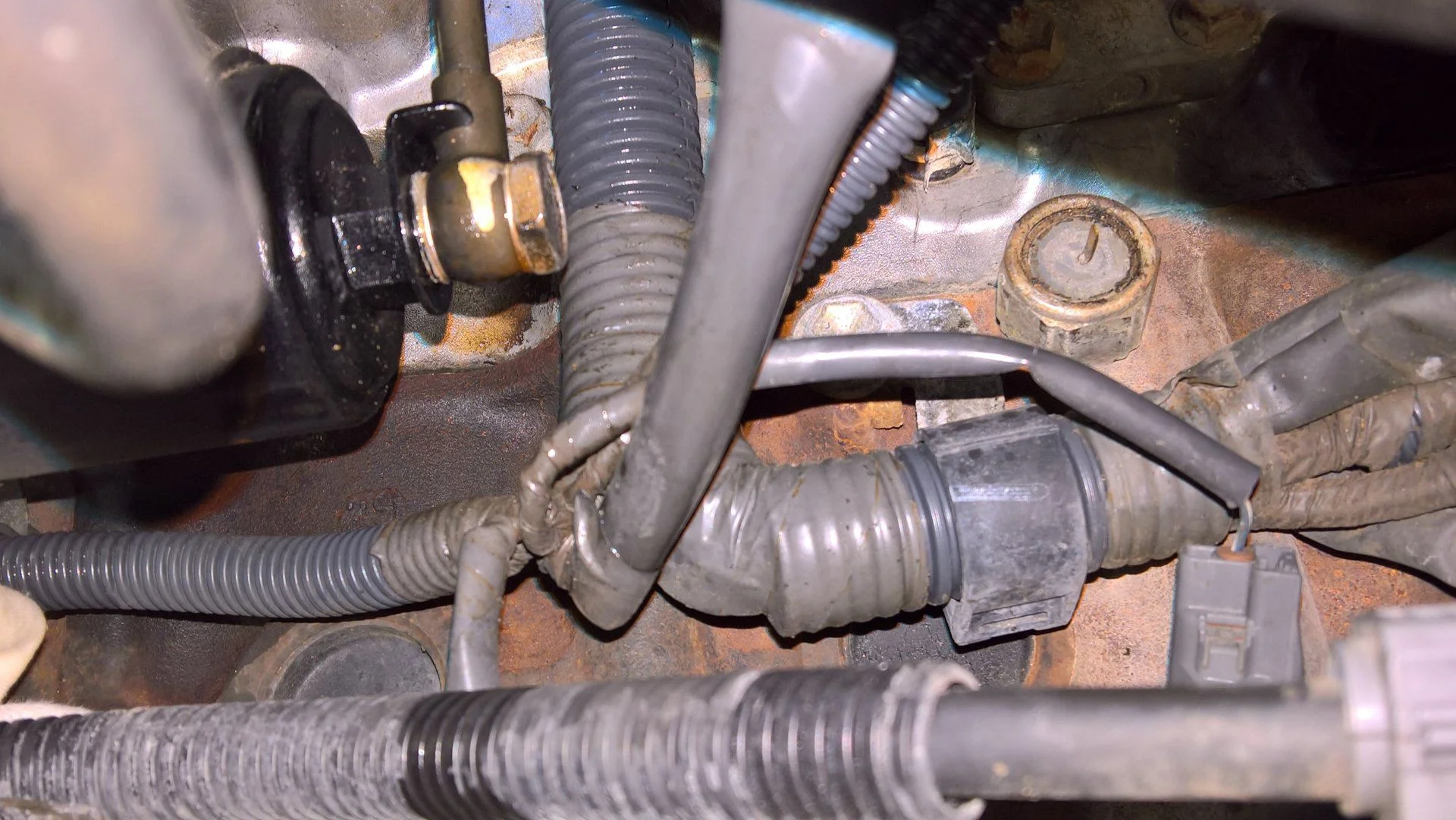 Knock sensor #2 view from wheel well.webp