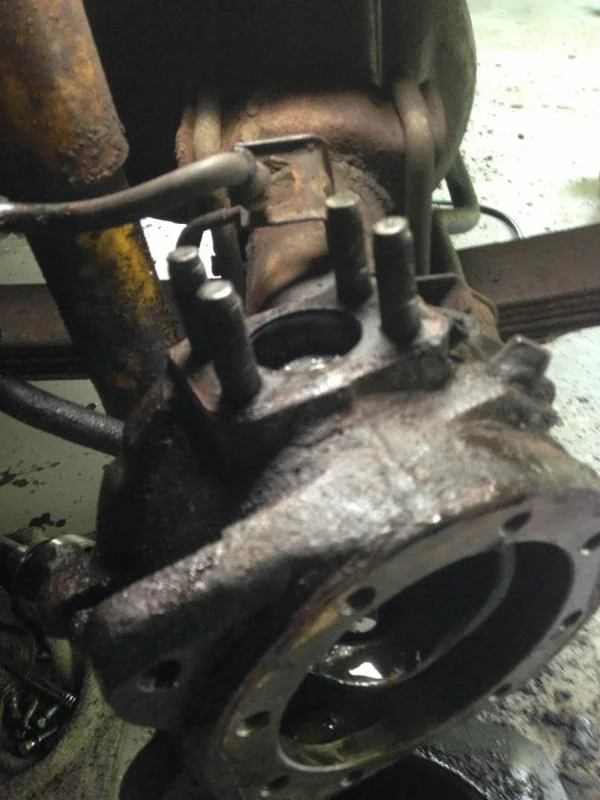 knuckletop.webp