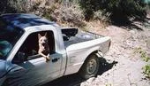 koda colson.webp