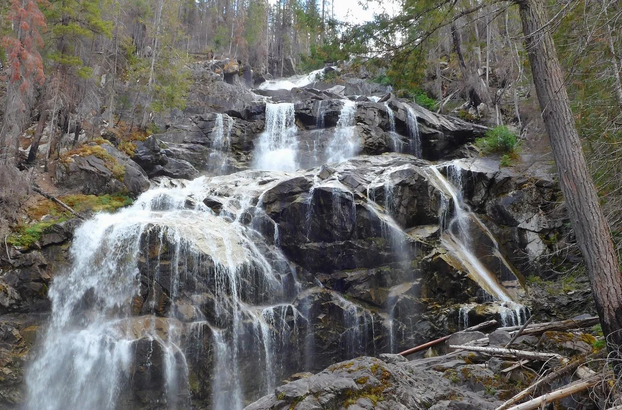 Kookipi2 (1280x844).webp