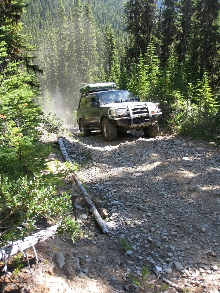 kookoo run.webp