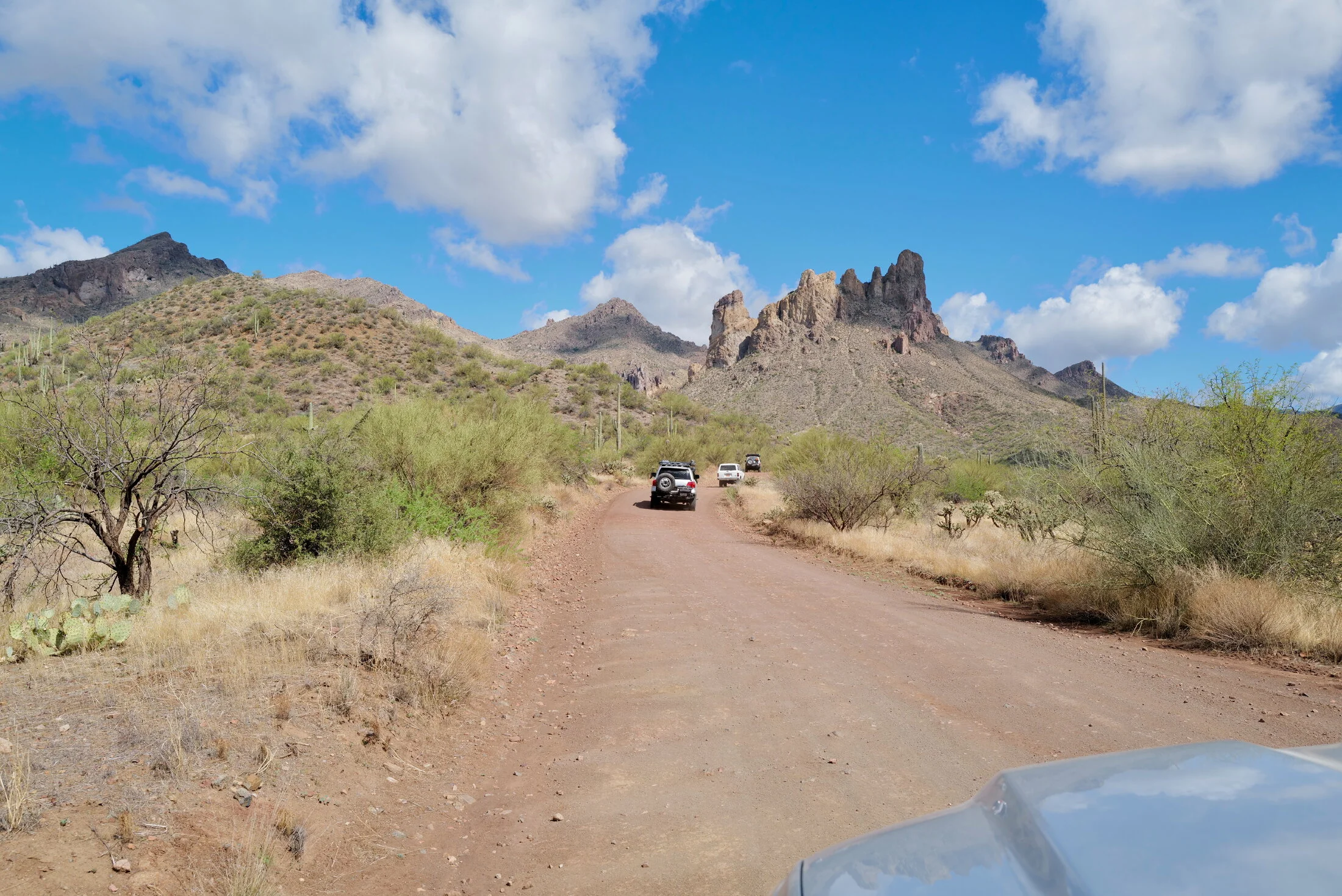 L1020401.webp