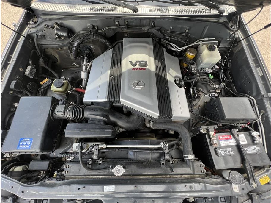 L_Carpic_D-1195_S-53213_27.webp