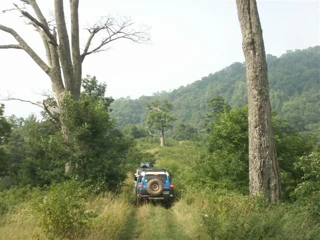 laborday 012 (Small).webp