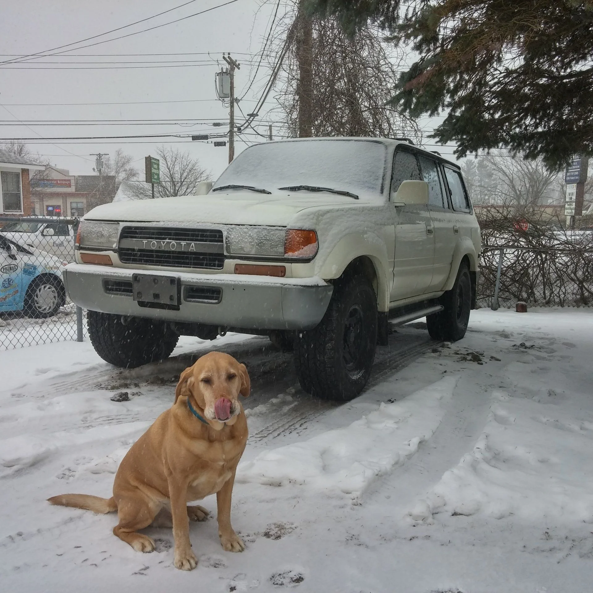 Land Cruiser - Jeb.webp