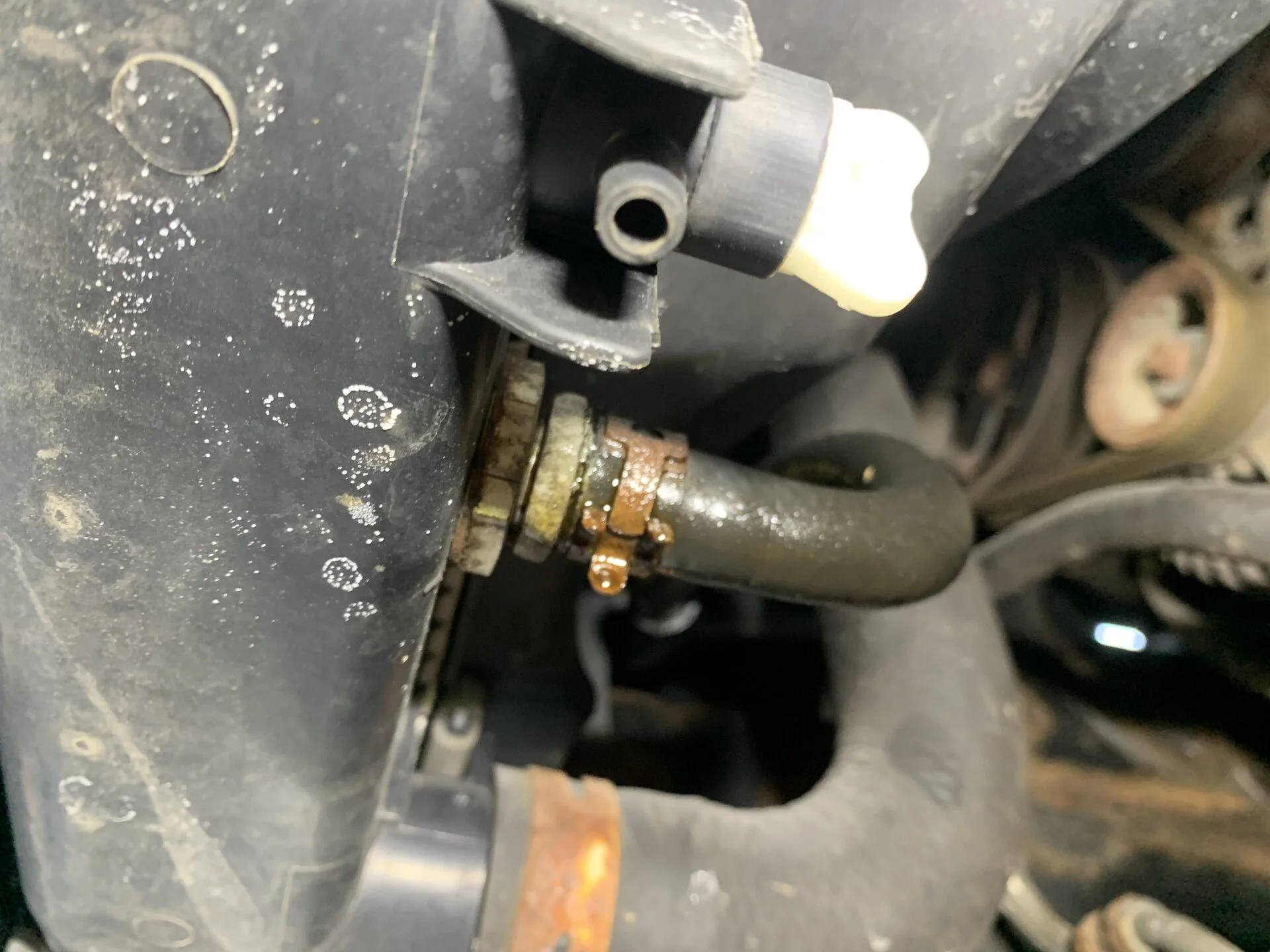 Land Cruiser Leaking Rad Line.webp