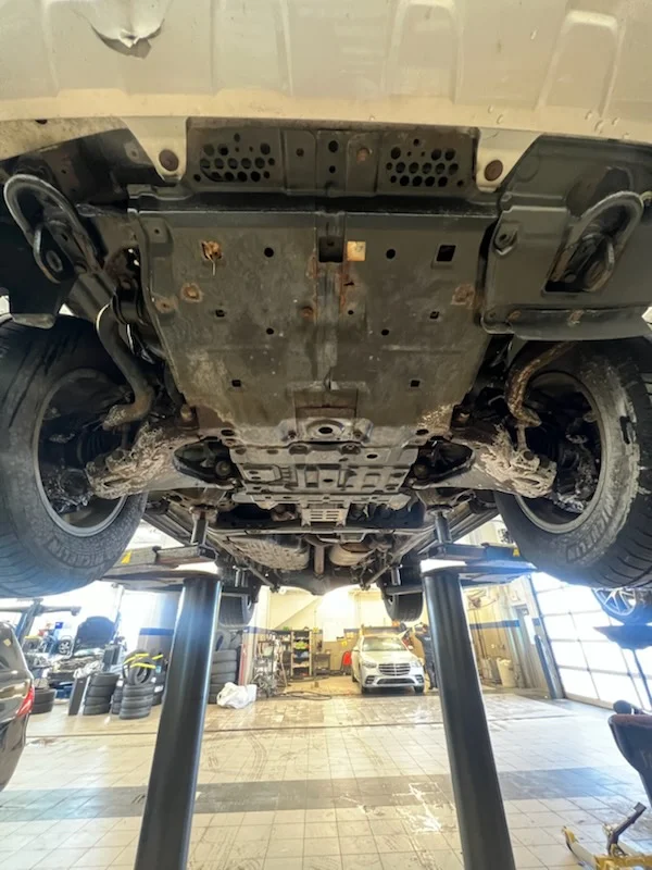 Land Cruiser on Lift (1).webp