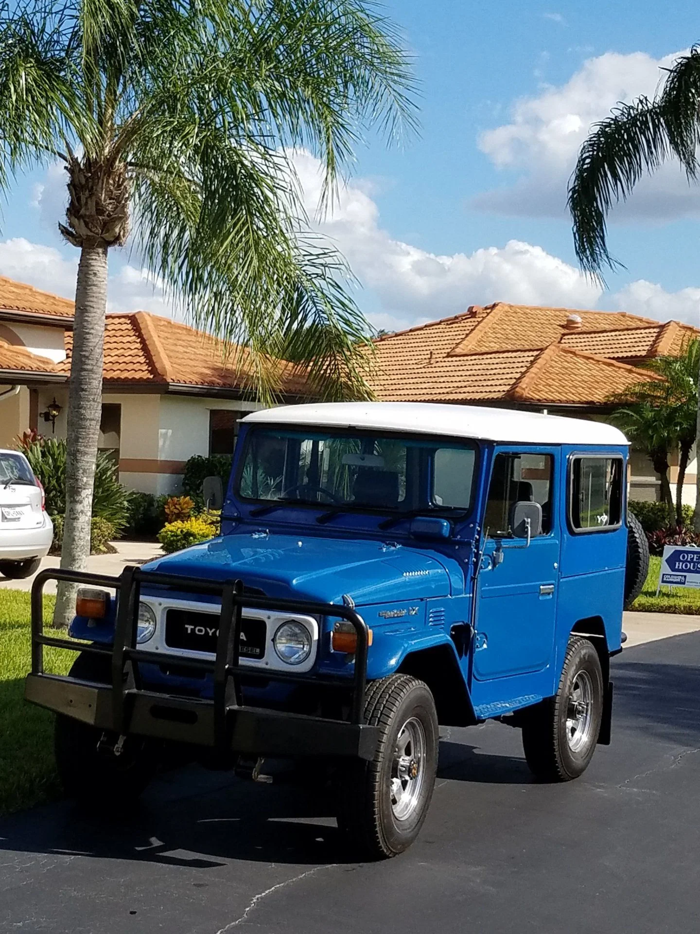 Land Cruiser Palm Trees.webp