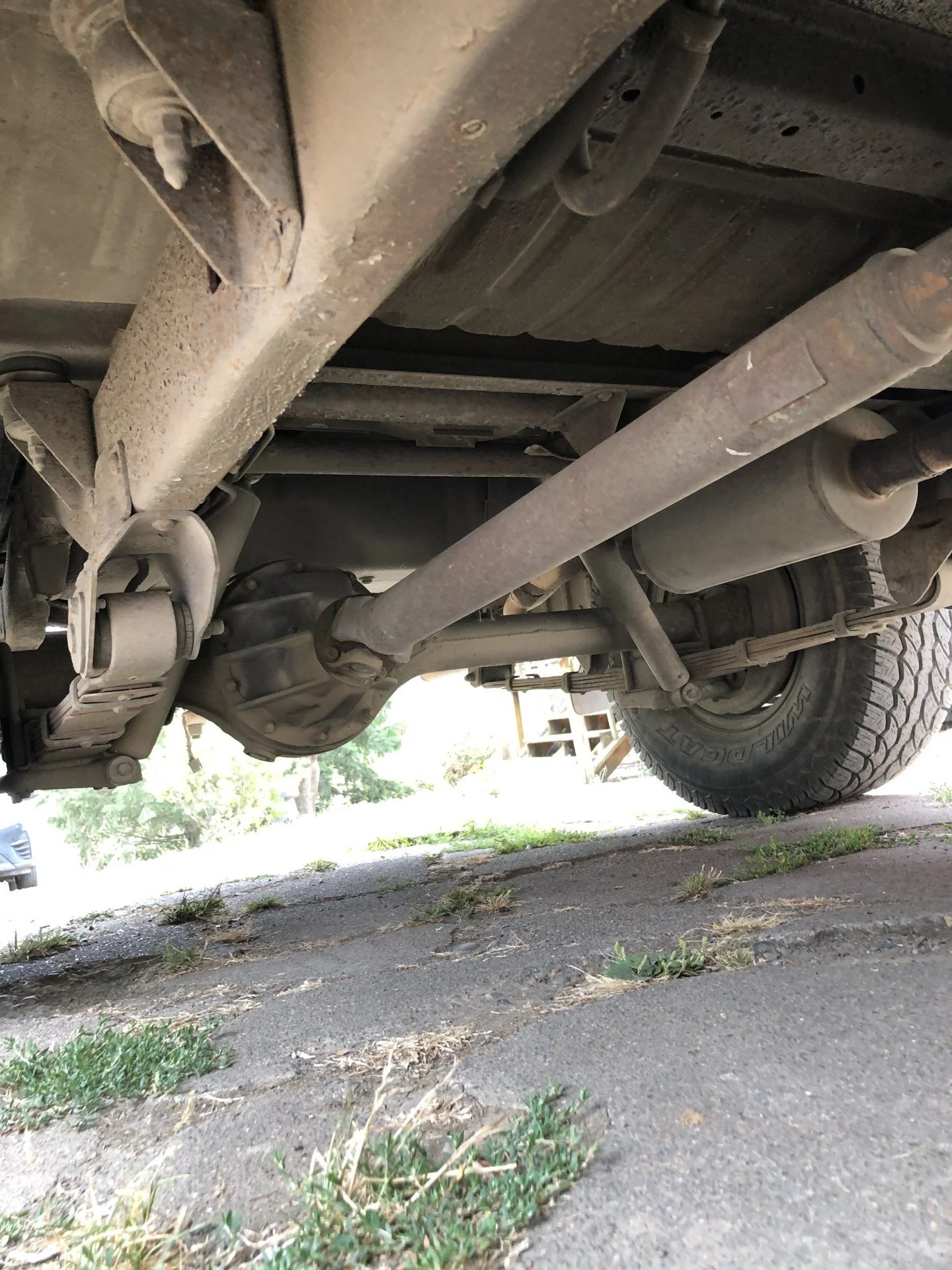 Land Cruiser pictures 1.webp