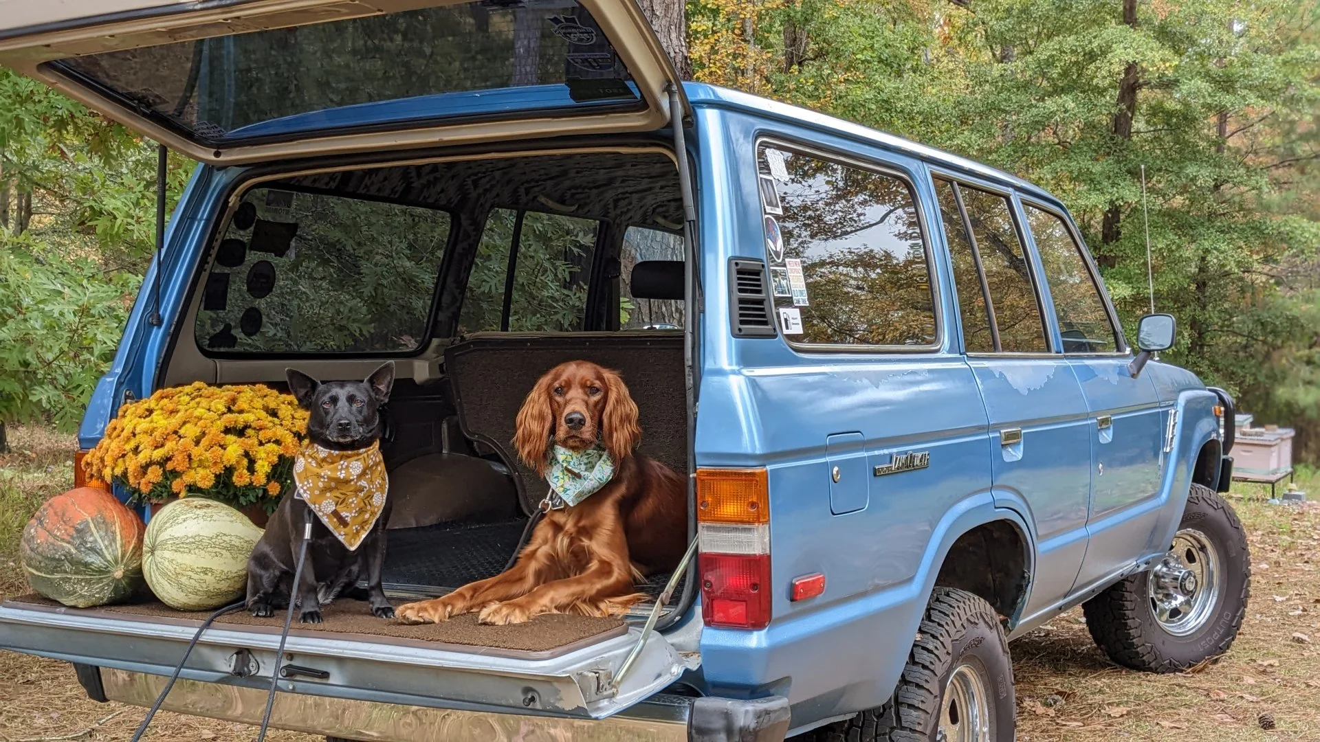 landcruiser.2.webp