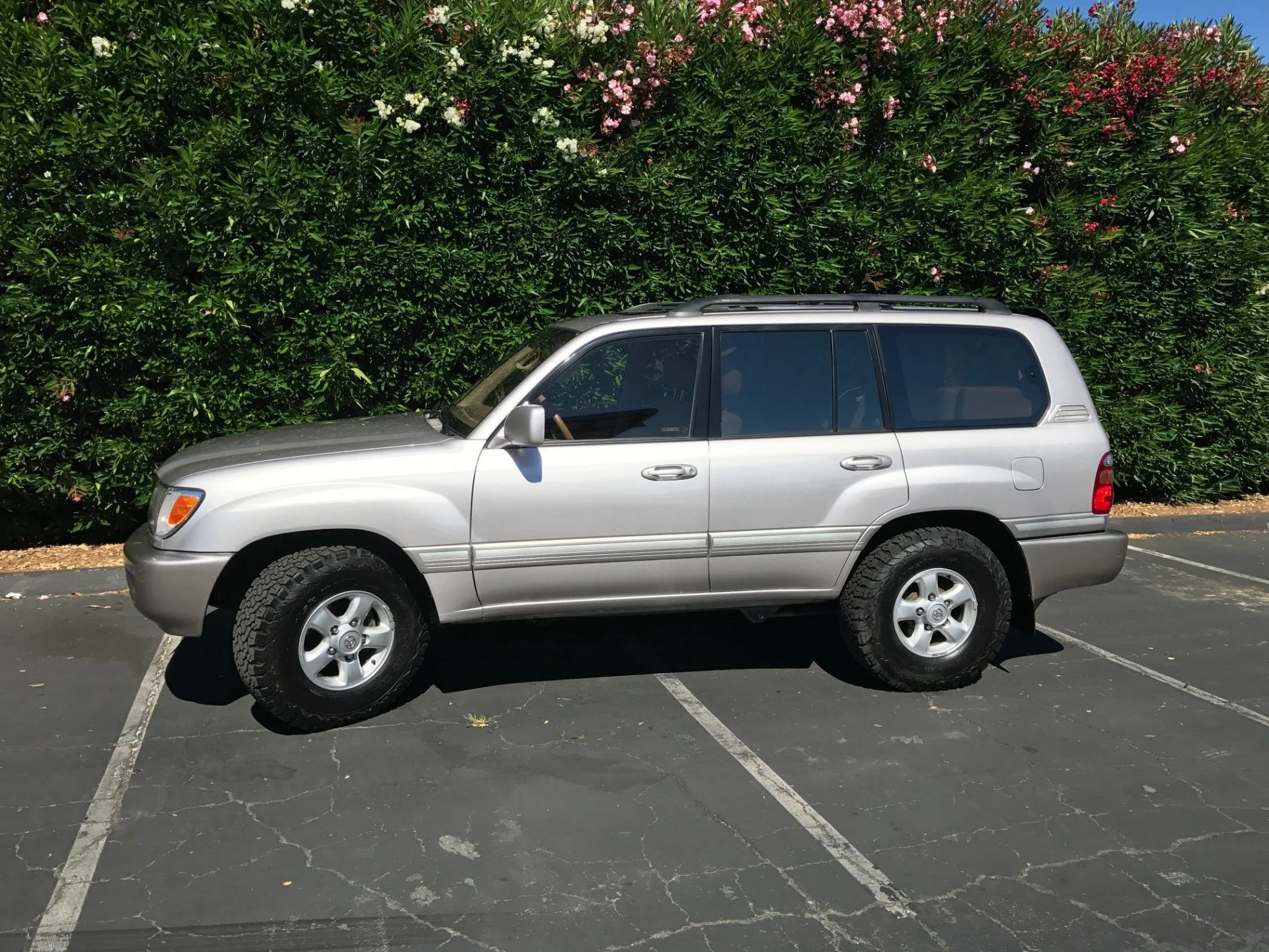 LandCruiser1.webp