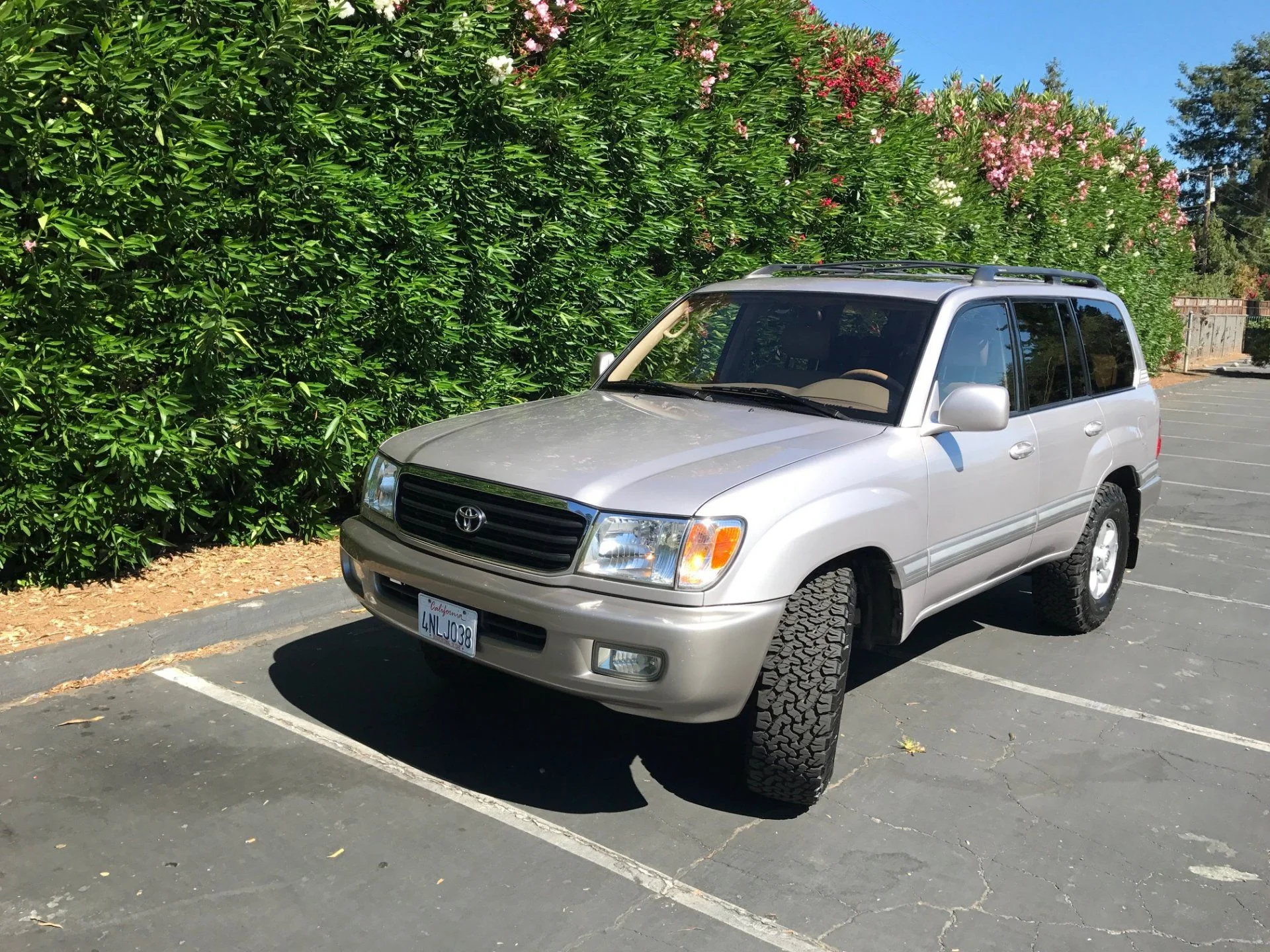 LandCruiser2.webp