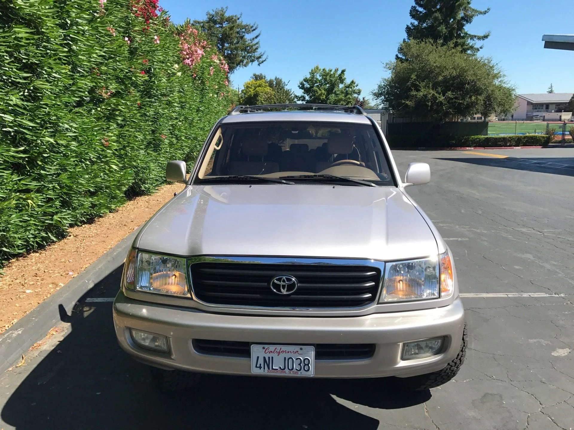 LandCruiser7.webp